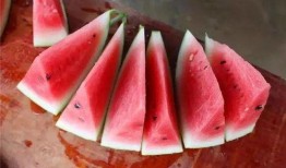 湖南长沙吃瓜视频,一网打尽热门话题与趣味瞬间