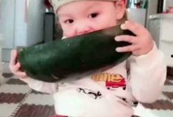 吃瓜小娃无视爸爸视频,视频记录家庭温馨瞬间