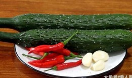 带你吃瓜视频拍摄方法是什么,揭秘“带你吃瓜”视频的拍摄技巧与秘籍