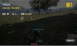 吃鸡麻瓜龙视频,吃鸡游戏中的趣味冒险之旅