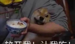 带你吃瓜驯服水龙头视频,带你吃瓜学节水小技巧