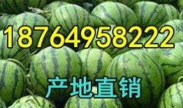莱州今日吃瓜爆料视频,视频揭秘惊人内幕