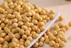 吃瓜小黄豆视频下载,热门视频下载攻略大公开