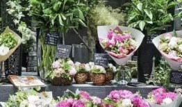 花店吃瓜视频大全最新,趣味横生，笑料百出！