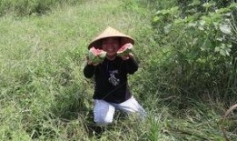 徒手劈瓜怎么吃最好视频,视频教你最佳食用之道