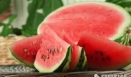 西瓜视频吃瓜者,吃瓜者的狂欢盛宴