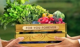 助农吃瓜视频大全,视频大全带你领略田园风光