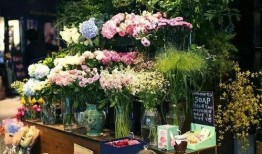 花店吃瓜视频大全最新,趣味横生，笑料百出！