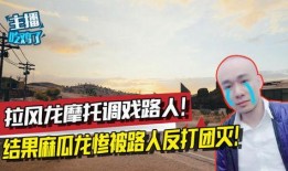 吃鸡麻瓜龙视频,吃鸡游戏中的趣味冒险之旅