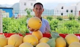 吃瓜有福了视频,揭秘“吃瓜有福了”视频背后的热点与笑料