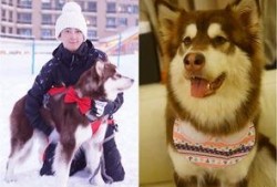 香香公主和爱犬吃瓜视频,香香公主与爱犬共赏吃瓜盛宴