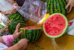 吃瓜福利干货视频,视频带你轻松解锁美食世界