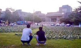 成都美院吃瓜事件视频,视频揭露校园风波背后的真相