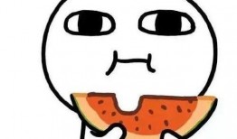 吃瓜视频第一课,揭秘网络舆论背后的真相与技巧