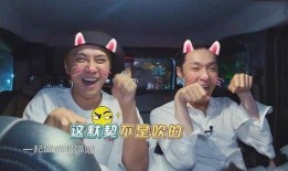 陈导点赞吃瓜视频,揭秘娱乐圈幕后真相