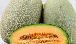 吃哈密瓜有什么好处视频,哈密瓜营养益处大盘点