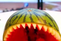 五分钟吃瓜视频,热门吃瓜视频盘点，笑料百出，精彩纷呈