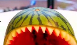 五分钟吃瓜视频,热门吃瓜视频盘点，笑料百出，精彩纷呈