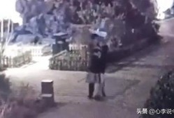 邹城吃瓜事件视频曝光