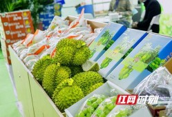 湖南长沙吃瓜视频,一网打尽热门话题与趣味瞬间