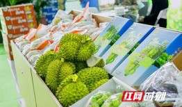 湖南长沙吃瓜视频,一网打尽热门话题与趣味瞬间