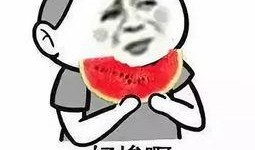 空哥的吃瓜视频,揭秘娱乐圈幕后故事