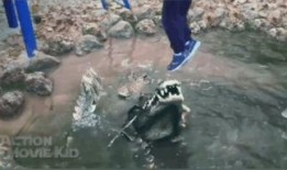 索尔被吃瓜的视频