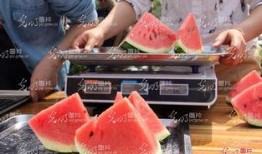 山东日照吃瓜事件视频,一场引发热议的网络视频风波