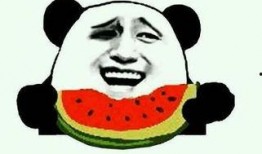 吃瓜群众代表视频,视频中的真实生活与网络现象