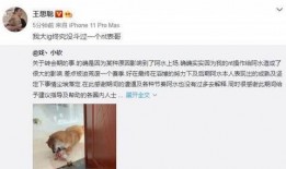 聪哥吃瓜视频大全集,揭秘娱乐圈幕后故事