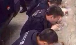 警察吃瓜事件视频大全下载,揭秘网络热点背后的真相与笑料