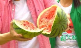 锦华观芷吃瓜的视频