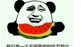 搞笑吃瓜大事件真相视频,真相背后的笑料连连