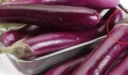 茄子吃瓜鬼畜视频下载免费,免费下载，笑料横生的网络狂欢