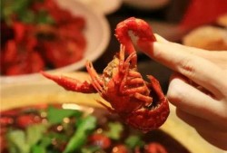 大瓜吃小龙虾视频,趣味吃播引网友热议