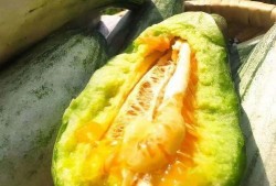 吃瓜视频最精彩的,揭秘娱乐圈最精彩瞬间