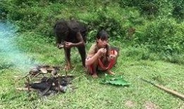 美女野人吃瓜视频,揭秘神秘野人生活点滴