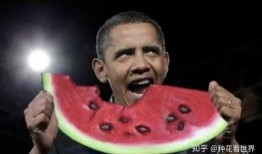 吃瓜中的酷拉视频,吃瓜群众的娱乐盛宴