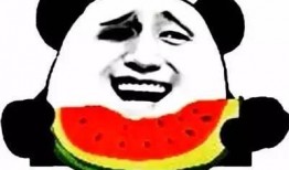 一大袋子吃瓜图片搞笑视频,吃瓜图片搞笑视频大盘点