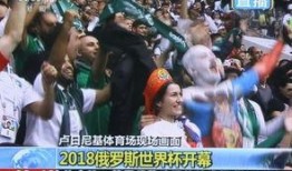 吃瓜世界杯视频下载安装,视频下载安装指南一网打尽