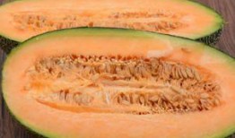 糖糖吃哈密瓜视频