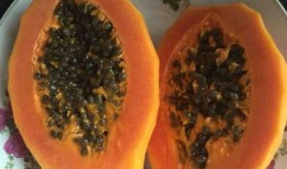 瓜煮着吃的做法视频大全,煮瓜视频教程全解析