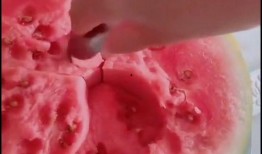 勺子吃瓜技巧视频大全,勺子吃瓜技巧视频大全解析