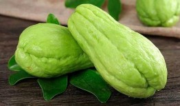 水瓜不去皮可吃吗视频,水瓜去不去皮可食用？视频揭秘真相