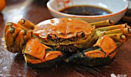 大瓜吃大螃蟹视频大全,视频大全带你领略美食盛宴