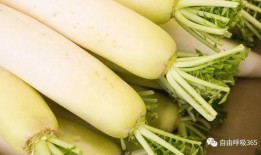 水瓜渣苗可以吃吗视频大全