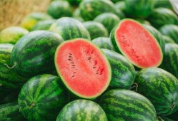 杨孟庄吃瓜视频大全最新