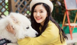 鹿苑事件吃瓜最新视频,真相大白，吃瓜群众热议不断