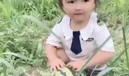 吃瓜现场配图大全图片视频