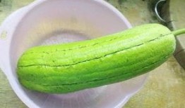 水瓜不去皮可吃吗视频,水瓜去不去皮可食用？视频揭秘真相